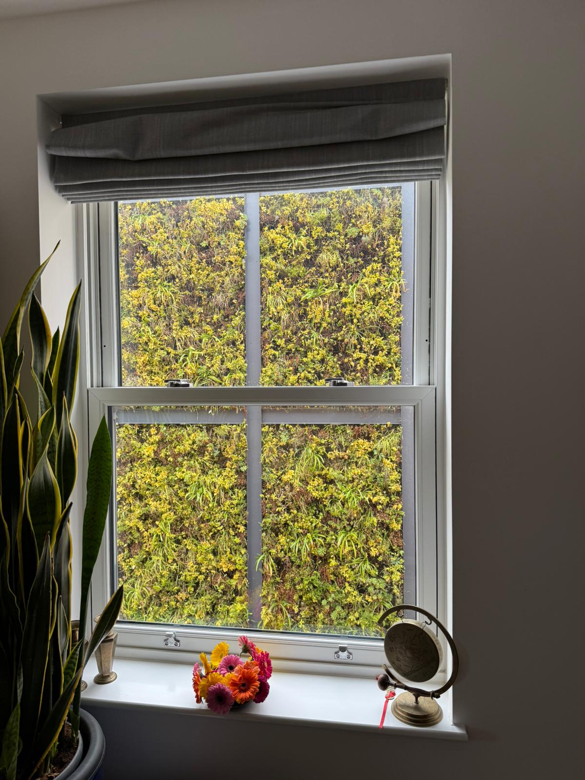 Balanced vertical sliding secondary glazing with garden views and houseplants on windowsill